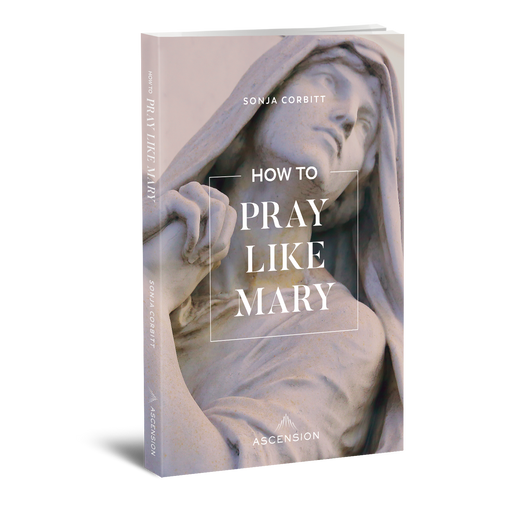 How to Pray Like Mary